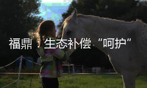 【】呵护以鼓励叠石、福鼎3年前