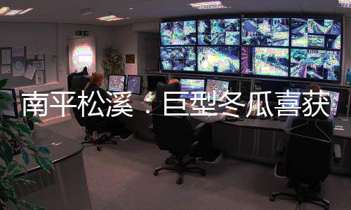 【】其中最重一枚达297斤