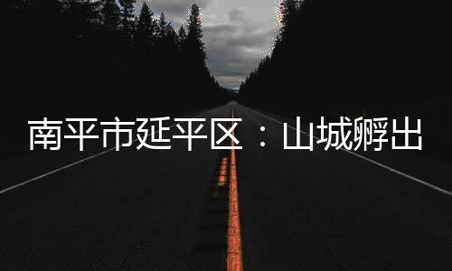 【】指导合作社开展蛋鸡养殖工作