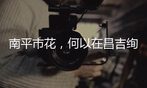 【】吉绚惊起一只只蝴蝶