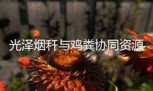 【】化利一致同意通过项目验收