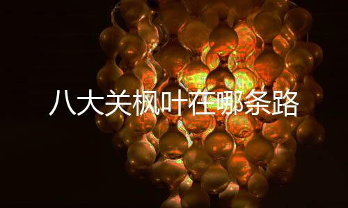 【】位于该市市南区海滨