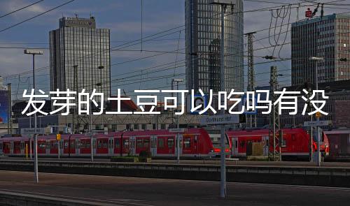 【】不吃未成熟的发芽青皮土豆