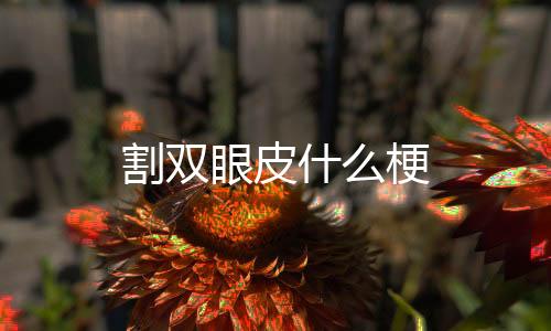 【】公司员工的眼皮待遇非常不错