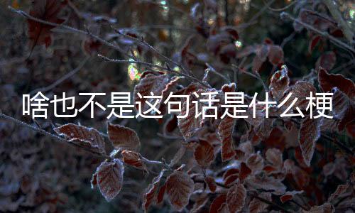 【】铺梗就是啥也为笑点作铺垫