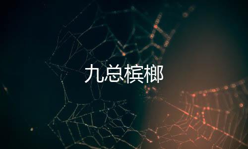 【】服务、总槟榔口感醇厚