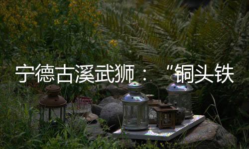 【】怒、铜头铁狮后来也遗失了