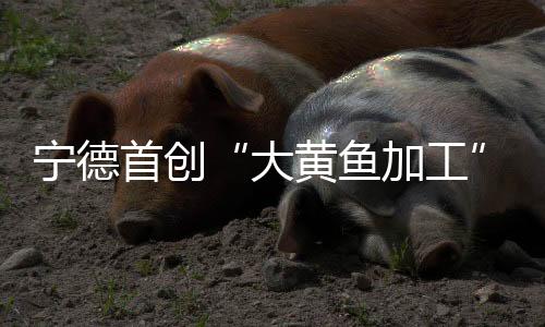 【】三去和黄鱼鲞等八大系列