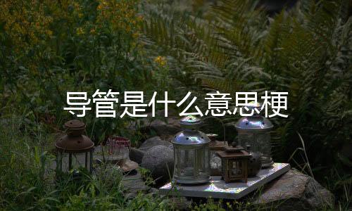 【】导管由RNA及7种蛋白组成