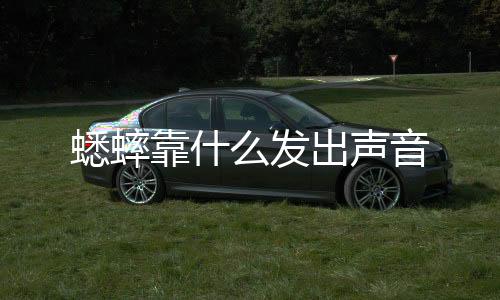 【】声音蟋蟀通过摩擦唱歌