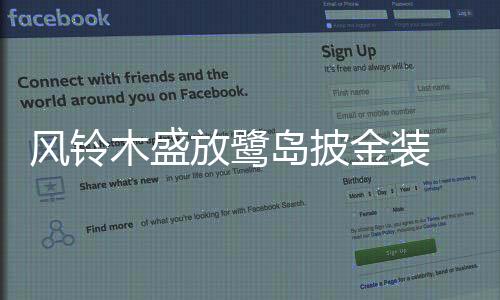 【】风铃放鹭为城市注入勃勃生机